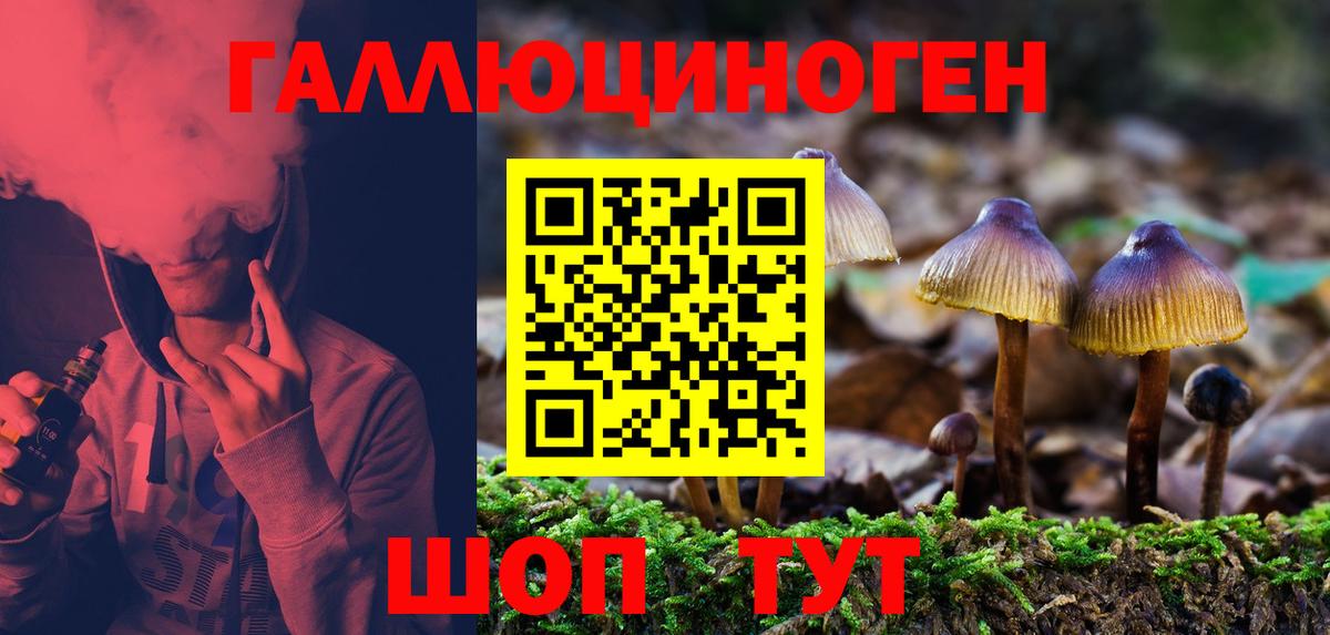 Галлюциногенные грибы GOLDEN TEACHER  Вход с VPN  Асбест 
